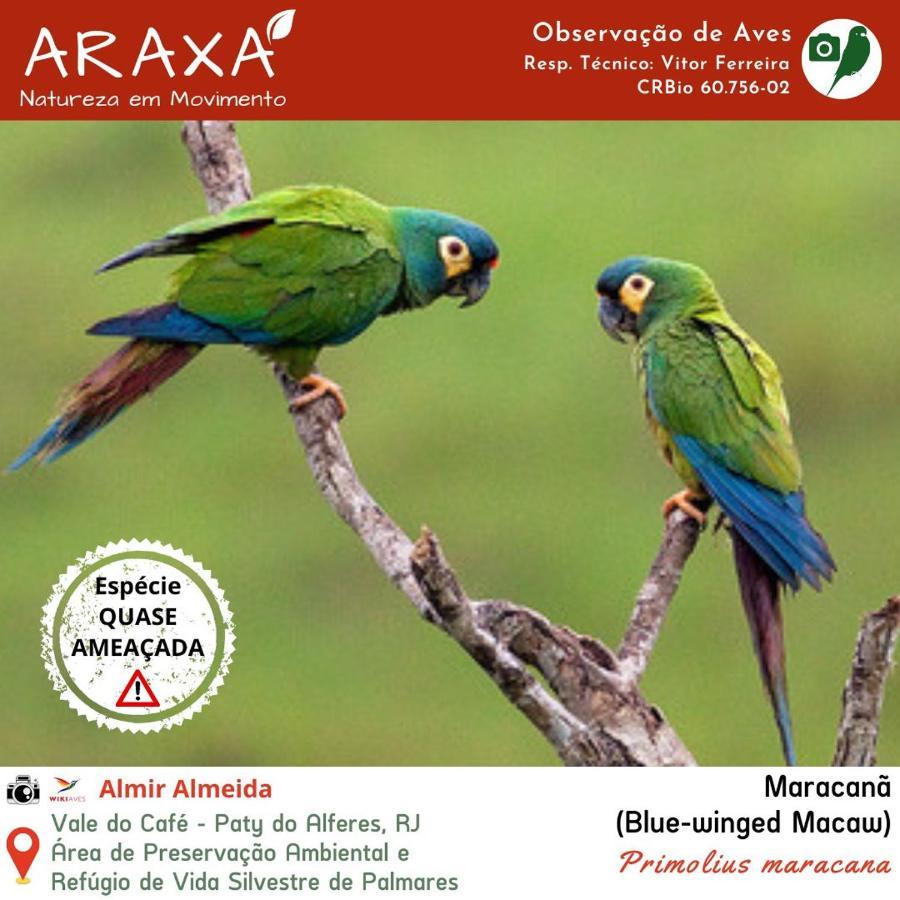 Sitio Araxa - 82 Anos De Historia - Suite Confortavel Em Meio A Floresta Paty do Alferes Exterior foto